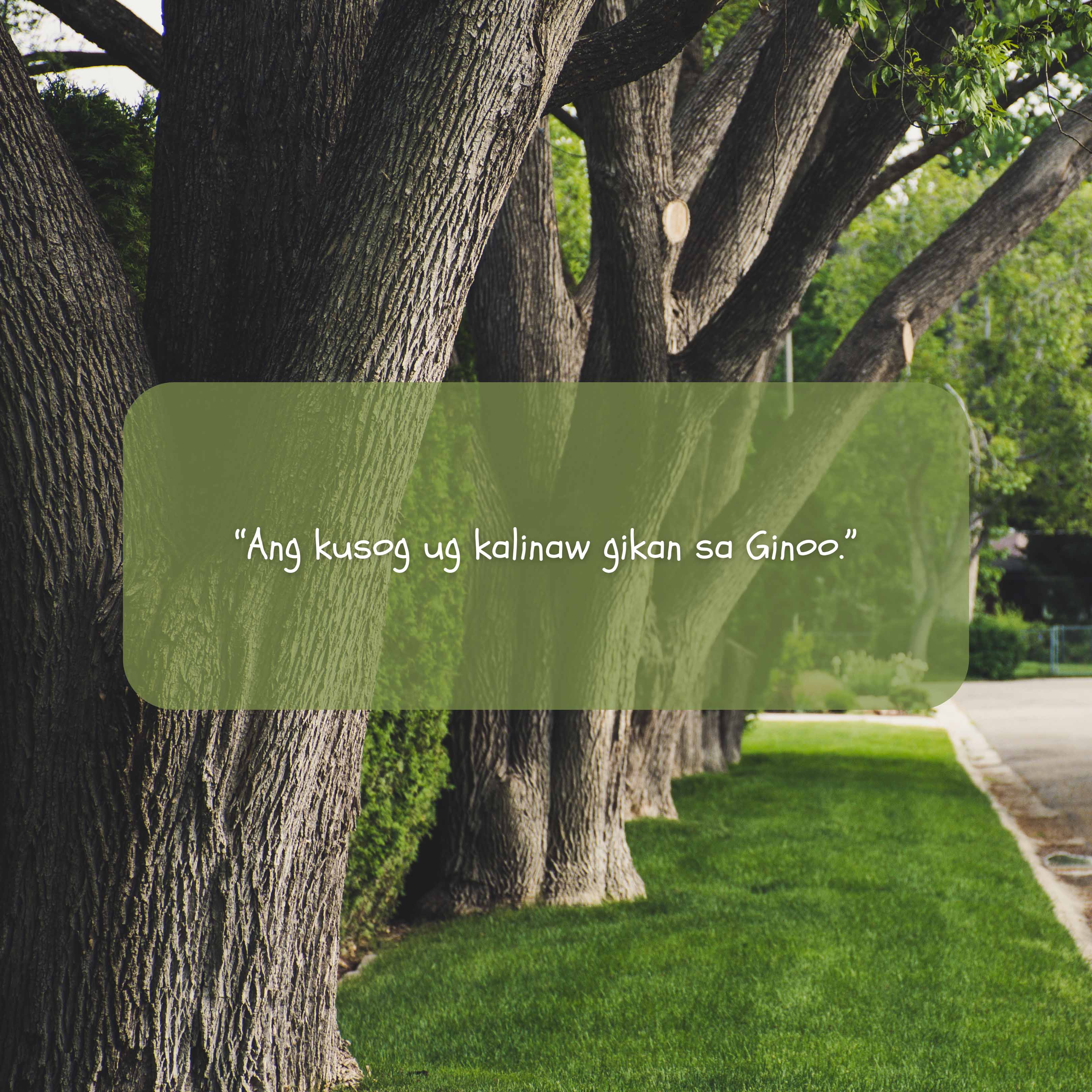 Ang kusog ug kalinaw gikan sa Ginoo