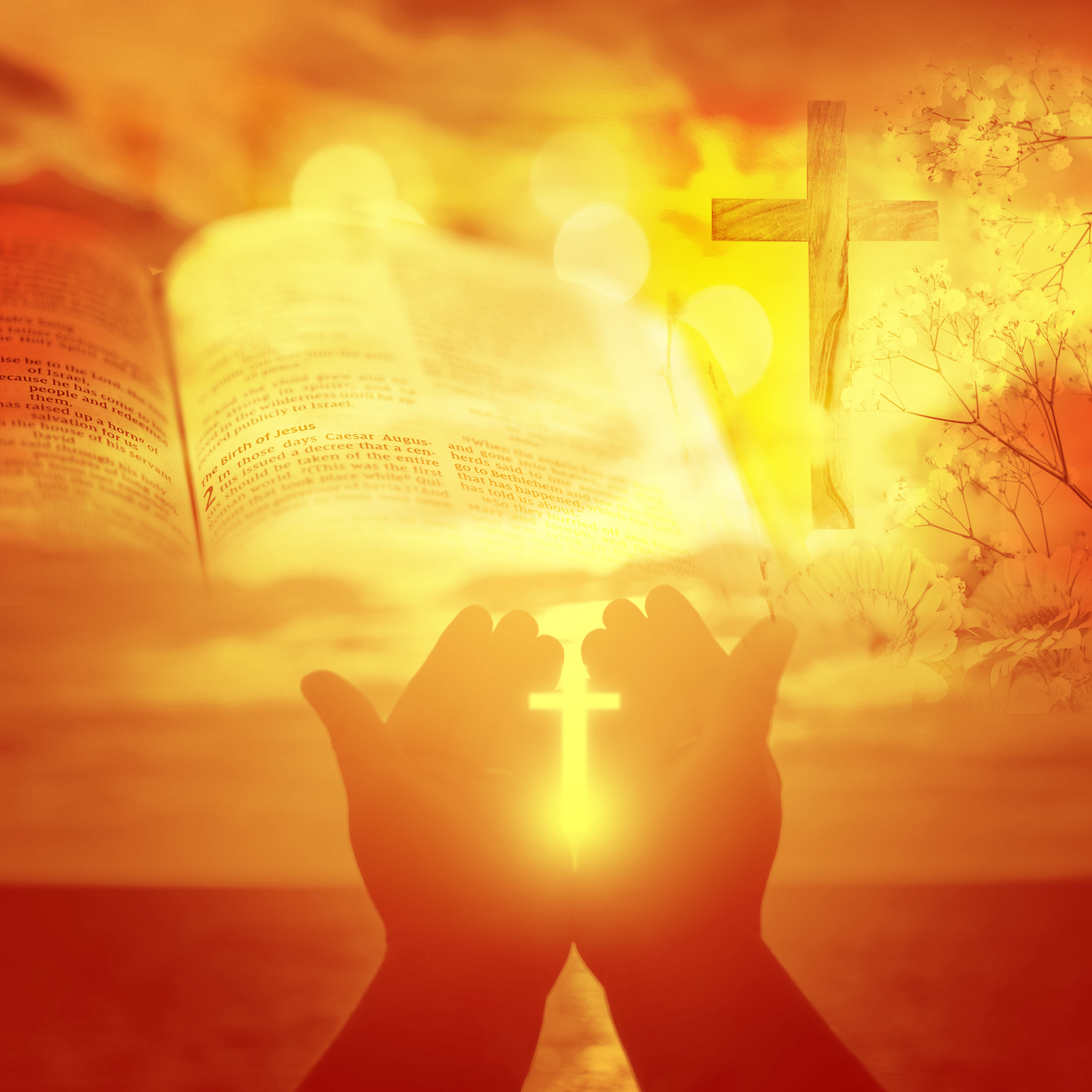 Faith, Prayer, and the Word