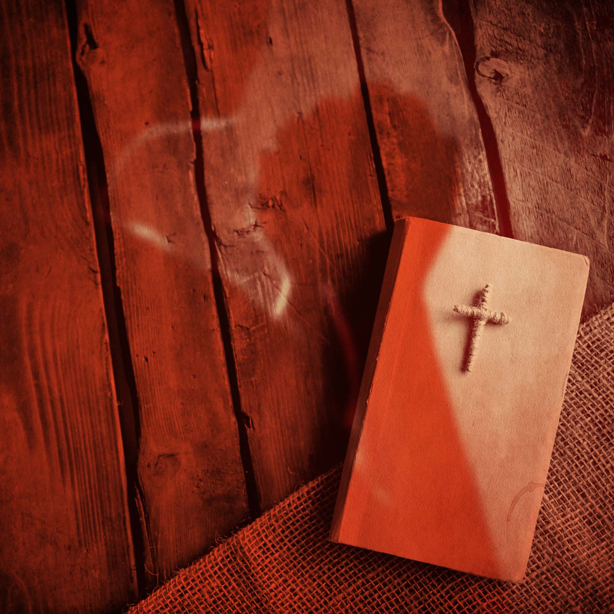 Holy Bible with Praying Man’s Shadow